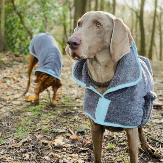 Henry Wag Microfibre Dog Drying Coat with Grey Dog