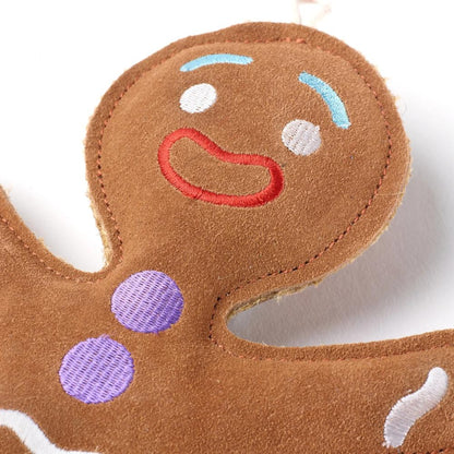 Jean Genie the Gingerbread Person Close Up