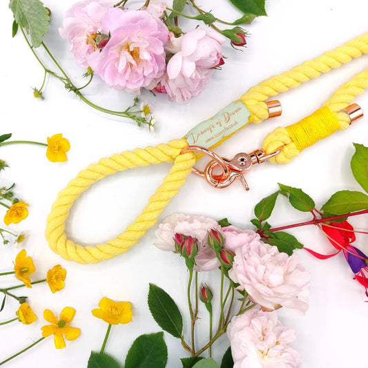 Natural Cotton Dog Lead - Yellow